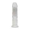 RealRock LED Wibrujący Model Prosty 15 cm Transparentny