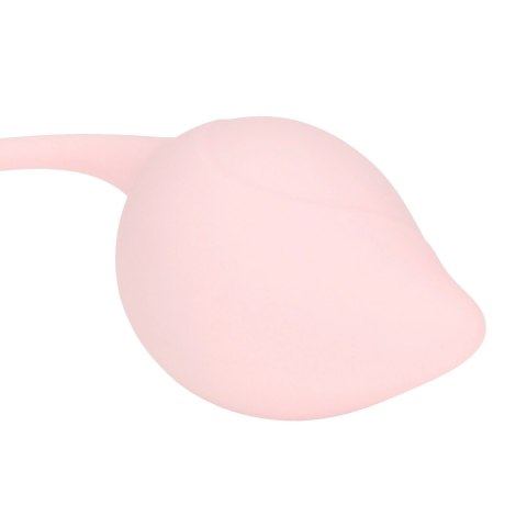 Loveline Pelvic Stem Kegel Kit zestaw kulek do ćwiczeń mięśni, 5 szt. Multicolor