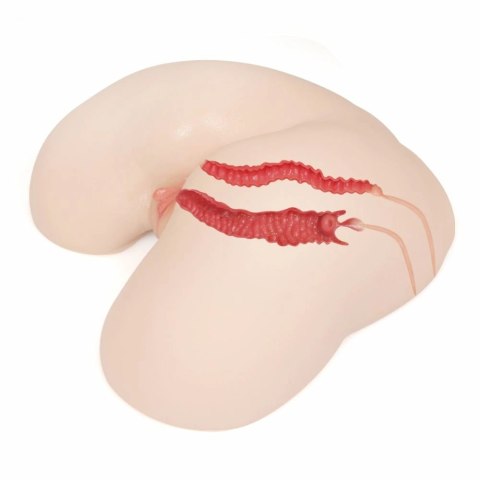 Kokos Maria Onahole Model Anatomiczny Hips TPE Naturalny 8809392183115