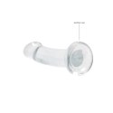 RealRock Crystal Clear Model 17 cm z przyssawką - transparentny