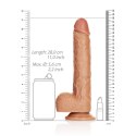 RealRock Model Prosty z Przyssawką 25,5 cm, Anatomiczny Kształt
