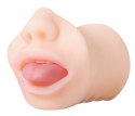Evolved Real Mouth model anatomiczny z realistyczną powierzchnią 16 cm