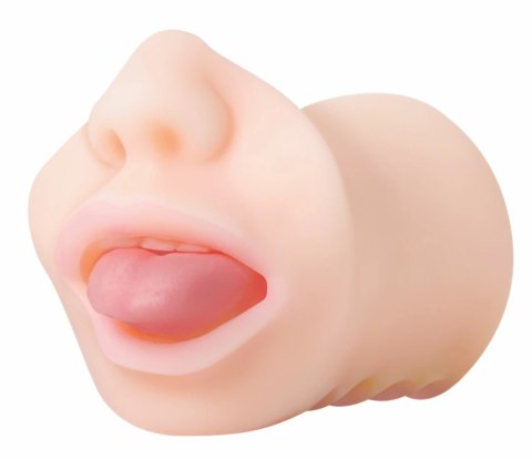 Evolved Real Mouth model anatomiczny z realistyczną powierzchnią 16 cm