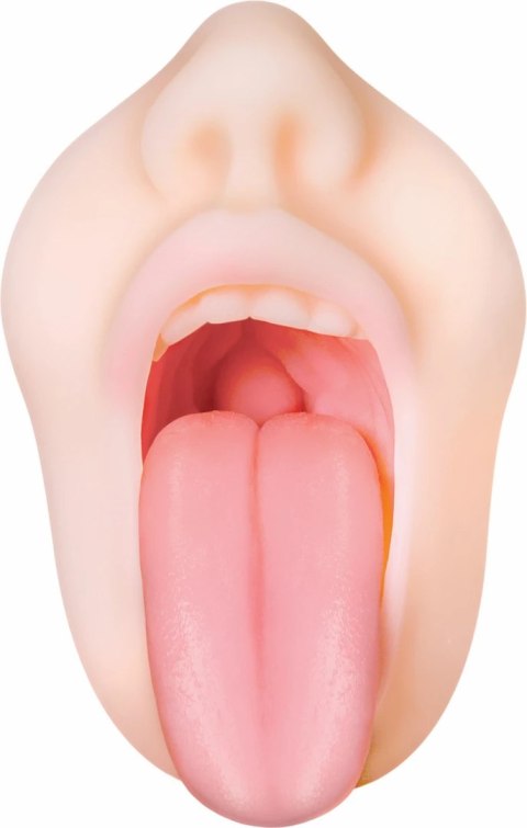 Evolved Real Mouth model anatomiczny z realistyczną powierzchnią 16 cm