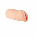 Evolved Tori Black model anatomiczny z uchwytem TPE 21 cm