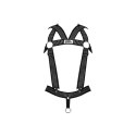 Male Power Elastic Harness - Uprząż z paskami i metalowymi elementami