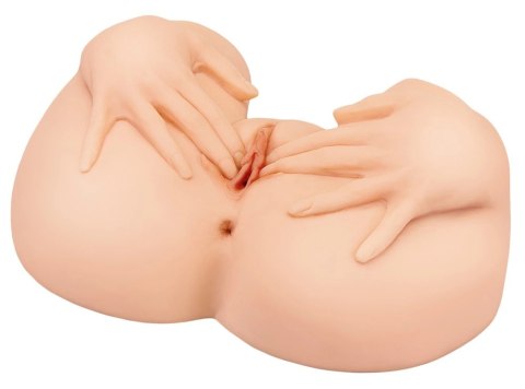 PDX Plus Spread My Tight Light - anatomiczny tors z dłońmi TPE 37,6 cm PDX