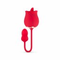 Teazers Rose - Dwustronny stymulator z 2 silnikami USB, rożowy