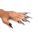 XR Brands Claw Ring zestaw 5 stalowych pierścieni regulowanych XR Brands