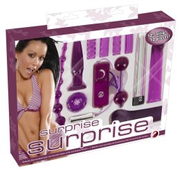 You2Toys Zestaw Intymnych Akcesoriow 12-częściowy, fioletowy ABS/TPE You2Toys
