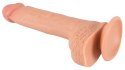 Realistixxx Model XL - Anatomiczny silikonowy model intymny, 21,7 cm, cielisty Realistixxx