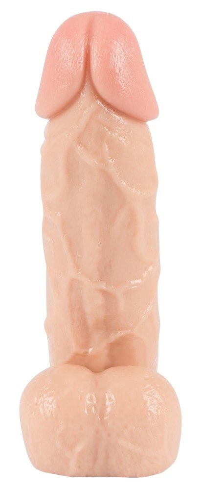 You2Toys model anatomiczny z podstawą, skora, 20,5 cm You2Toys