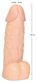 You2Toys model anatomiczny z podstawą, skora, 20,5 cm You2Toys