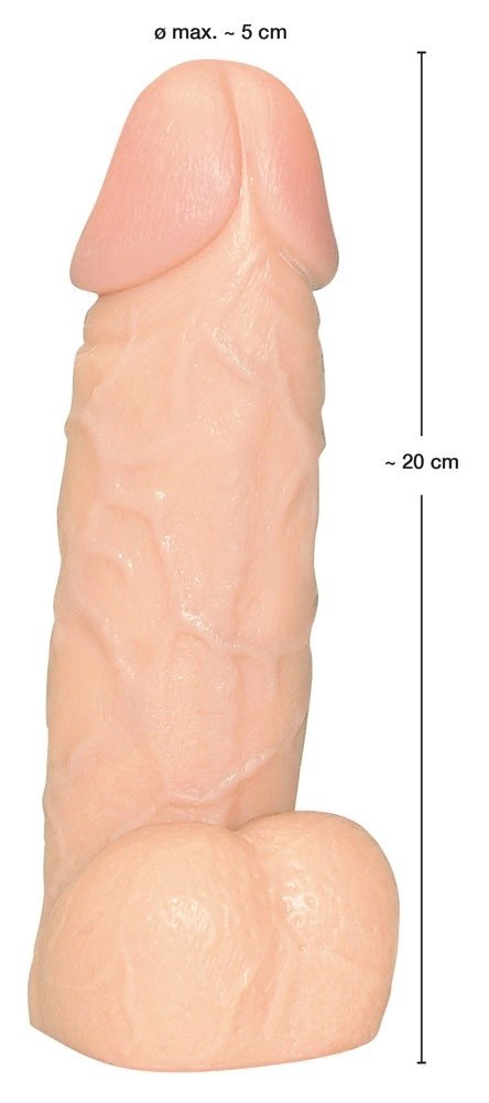 You2Toys model anatomiczny z podstawą, skora, 20,5 cm You2Toys