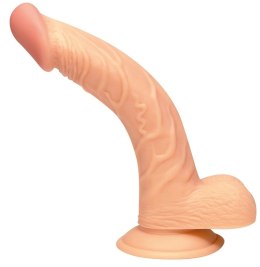 NMC Zakrzywiony Model Anatomiczny z Żyłkowaniem 19cm PVC NMC