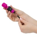 PalmPower Pocket Wand Massager - miniaturowy masażer podręczny USB PowerBullet