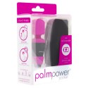 PalmPower Pocket Wand Massager - miniaturowy masażer podręczny USB PowerBullet