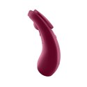 Satisfyer Sexy Secret Connect - model do noszenia, magnes, czarny Satisfyer