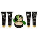 Shunga Geisha's Secret Kit Zestaw Miniatur Zielona Herbata 5w1 Shunga