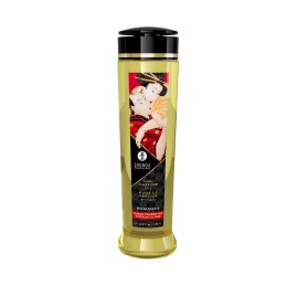 Shunga Massage Oil Romance Strawberries & Champagne 240ml - olejek do masażu Shunga