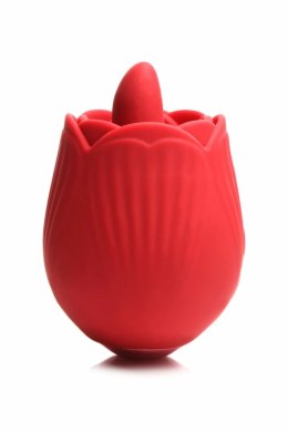 BLOOMGASM French Rose Licking & Vibrating System Czerwony 10 trybow XR Brands