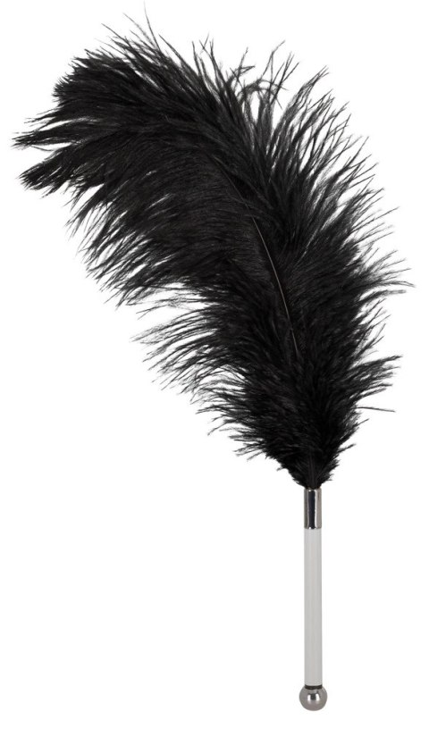 Bad Kitty Piorko Czarny Model Strusie 13 cm Pleksiglasowy Uchwyt Bad Kitty