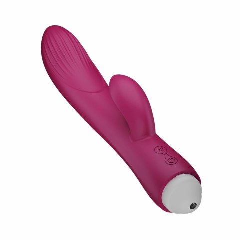 Easytoys Vibe Rabbit Vibrator Raspberry Pink silikonowy wodoodporny Easytoys