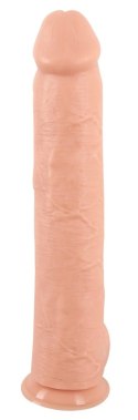 Realistixxx Model XXXL Naturalny 42cm - anatomiczny kształt, mocna podstawa Realistixxx