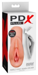 PDX Plus Model Fanta Flesh Cielisty - Anatomiczna maszyna intymna 14,8 cm PDX