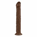 Real Fantasy David model anatomiczny z mocną przyssawką 35 cm Real Fantasy