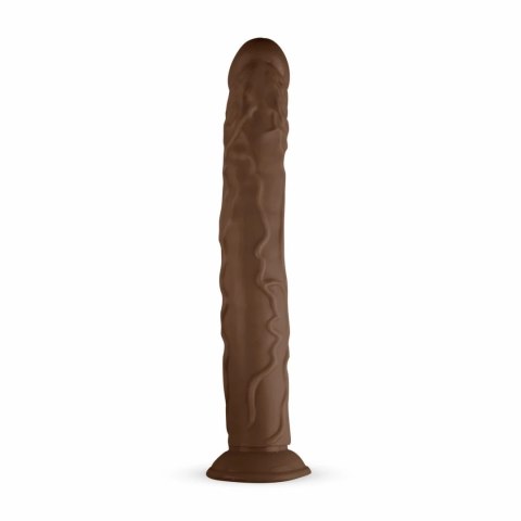 Real Fantasy David model anatomiczny z mocną przyssawką 35 cm Real Fantasy