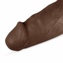 Real Fantasy Travis model anatomiczny z przyssawką 31 cm PVC Real Fantasy