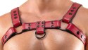 Svenjoyment Men's Chest Harness czerwony S-XL regulowany vegan Svenjoyment