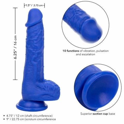 CalExotics Admiral Sailor silikonowy model wibrujący niebieski 16 cm IPX7 CALEXOTICS