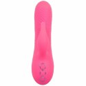CalExotics Sacramento Sweetie Kalifornijski Wibrator Krolik Rożowy USB CALEXOTICS