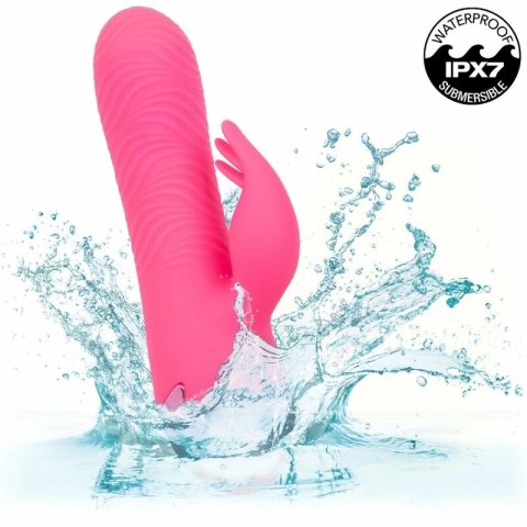 CalExotics Sacramento Sweetie Kalifornijski Wibrator Krolik Rożowy USB CALEXOTICS