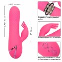 CalExotics Sacramento Sweetie Kalifornijski Wibrator Krolik Rożowy USB CALEXOTICS