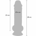 ToyJoy Get Real Deluxe 28 cm - model anatomiczny z przyssawką, TPE GET REAL