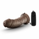 Dr. Skin Dr. Joe Model wibracyjny z przyssawką 20 cm czekoladowy Dr Skin