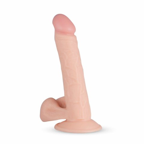 Real Fantasy Felix 22 cm - model anatomiczny z przyssawką