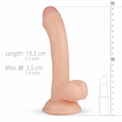 Real Fantasy Vince model anatomiczny z przyssawką 19,5 cm