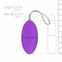 EasyToys Violet Egg - Bezprzewodowy system wibracyjny z pilotem