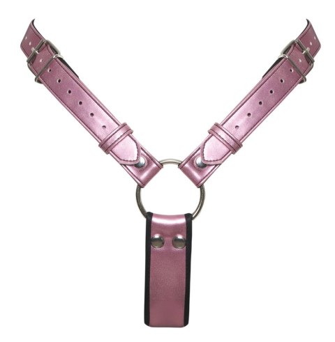 Bad Kitty L/XL Stringi z systemem mocowania i silikonowym elementem 12 cm