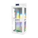 XRAY X Ray Clear - przezroczysty model anatomiczny z kulkami 22 cm
