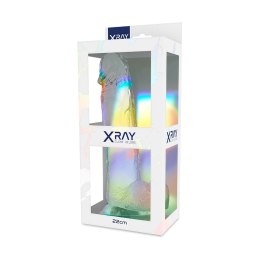 XRAY X Ray Clear - przezroczysty model anatomiczny z kulkami 22 cm