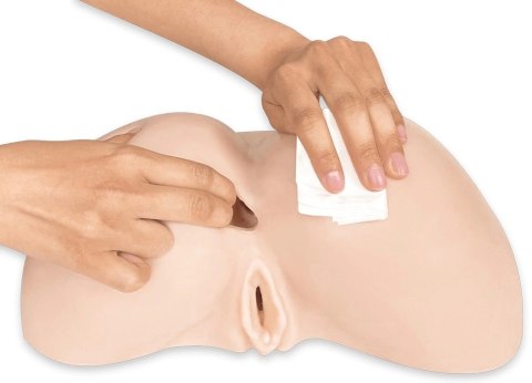 SilexD Daphne Model anatomiczny z systemem Silexpan, silikon, 27x32,5cm