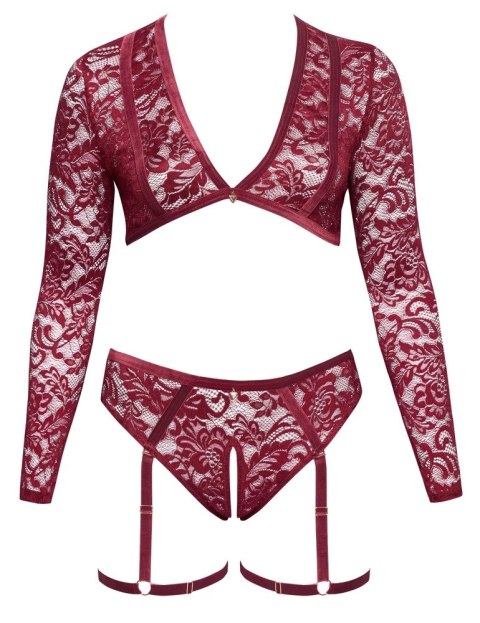 Cottelli Curves Komplet Koronkowy Top i Majtki 2XL Ciemnoczerwony