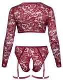 Cottelli Curves Komplet Koronkowy Top i Majtki 2XL Ciemnoczerwony
