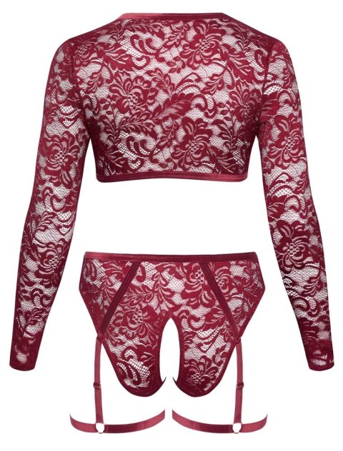 Cottelli Curves Komplet Koronkowy Top i Majtki 2XL Ciemnoczerwony