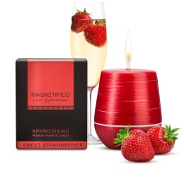 MAGNETIFICO Aphrodisiac Candle Truskawka 36h Świeca Zapachowa EU